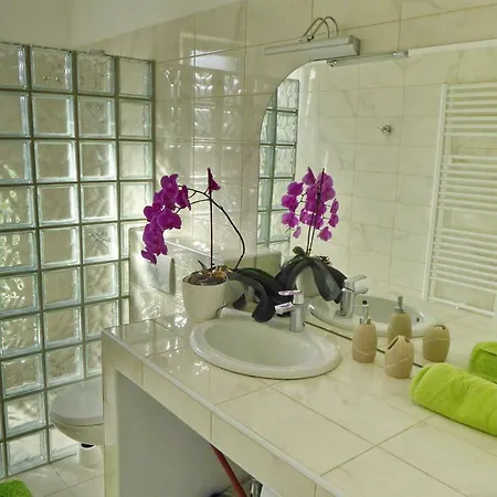 Curicta 1 Apartament