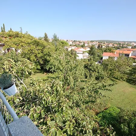 Curicta 1 Krk Town